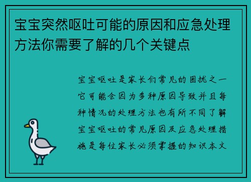 宝宝突然呕吐可能的原因和应急处理方法你需要了解的几个关键点
